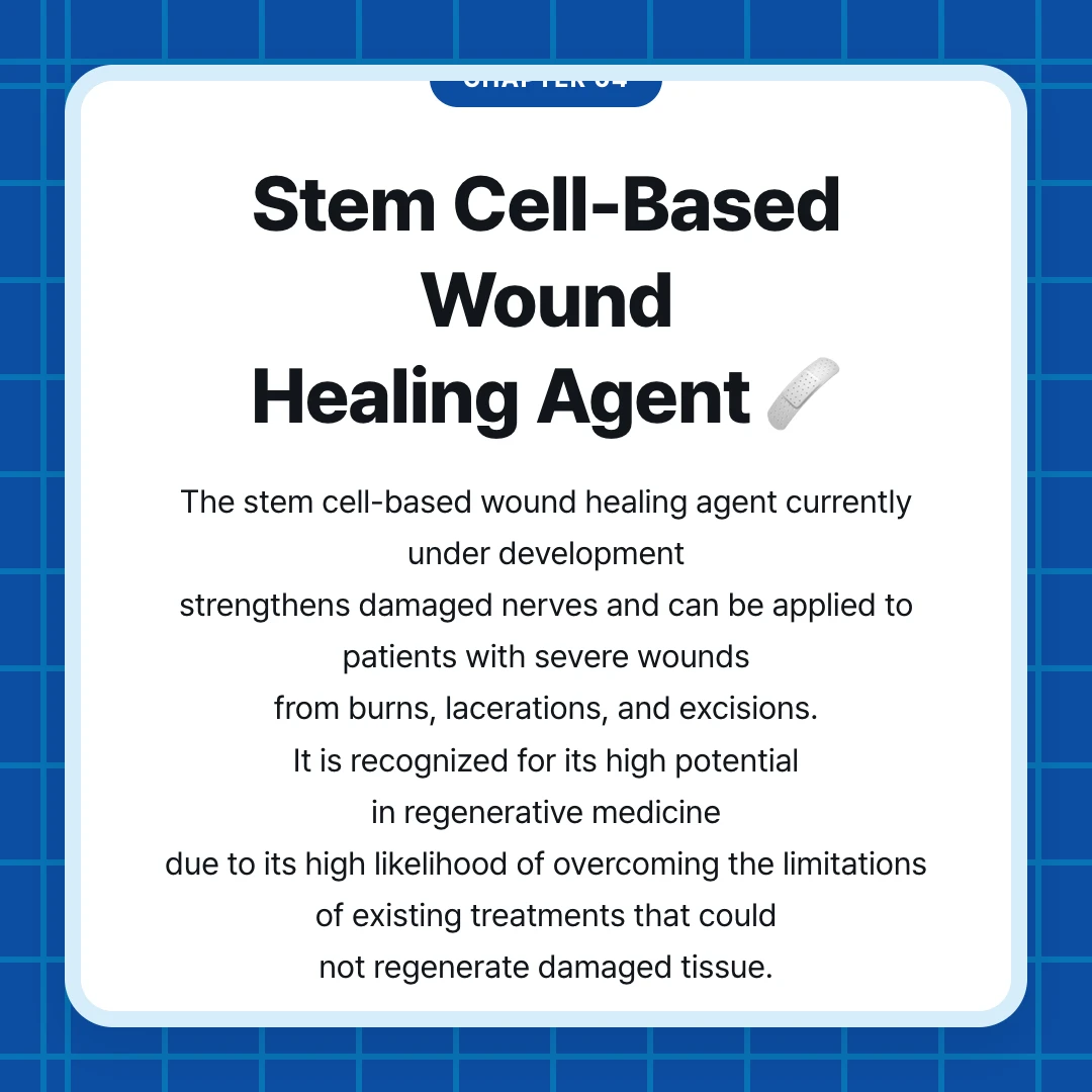 chapter 04. Stem Cell-Based Wound Healing Agent 🩹. The stem cell-based wound healing agent currently under development strengthens damaged nerves and can be applied to patients with severe wounds from burns, lacerations, and excisions. It is recognized for its high potential in regenerative medicine due to its high likelihood of overcoming the limitations of existing treatments that could not regenerate damaged tissue.