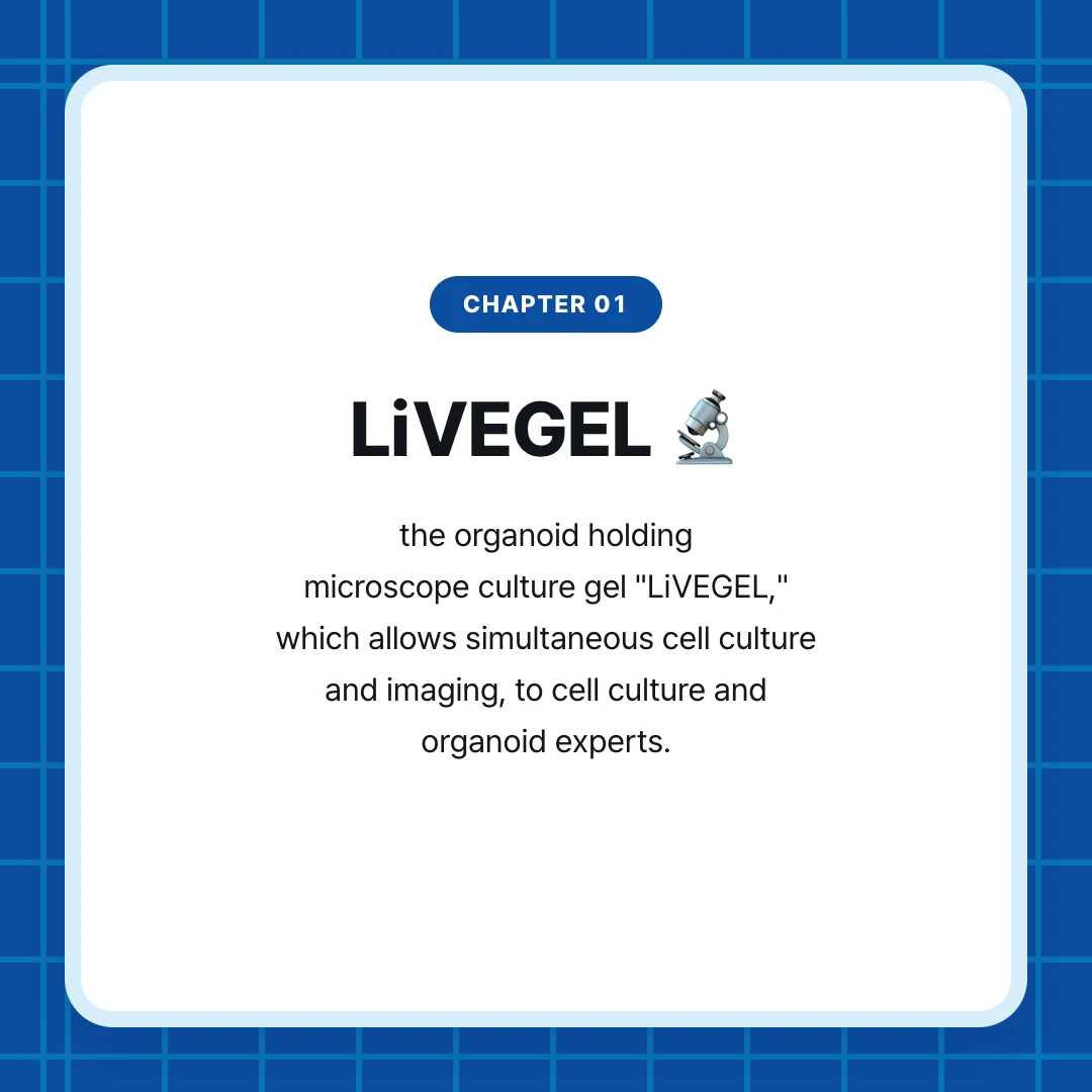chapter 01. LiVEGEL 🔬. the organoid holding microscope culture gel "LiVEGEL," which allows simultaneous cell culture and imaging, to cell culture and organoid experts.