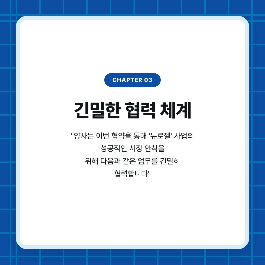 chapter 03. 긴밀한 협력 체계. "양사는 이번 협약을 통해 '뉴로젤' 사업의 성공적인 시장 안착을 위해 다음과 같은 업무를 긴밀히 협력합니다"
