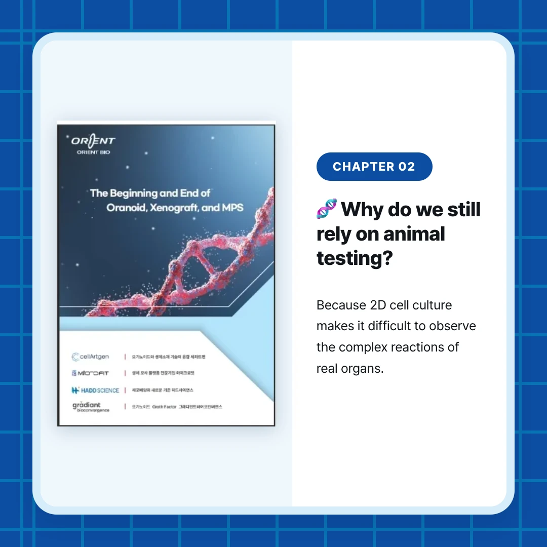 chapter 02. 🧬 Why do we still rely on animal testing?. Because 2D cell culture makes it difficult to observe the complex reactions of real organs.