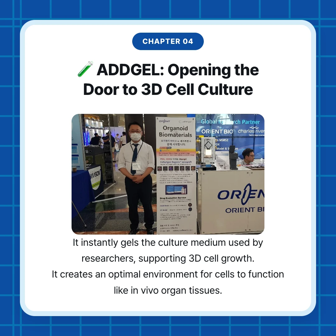 chapter 04. 🧪 ADDGEL: Opening the Door to 3D Cell Culture. It instantly gels the culture medium used by researchers, supporting 3D cell growth. It creates an optimal environment for cells to function like in vivo organ tissues.