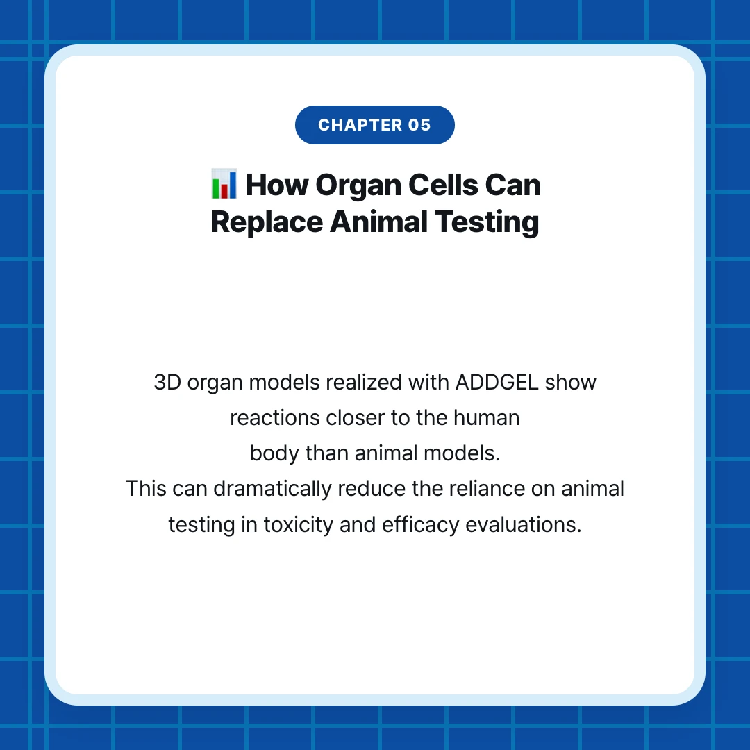 chapter 05. 📊 How Organ Cells Can Replace Animal Testing. 3D organ models realized with ADDGEL show reactions closer to the human body than animal models. This can dramatically reduce the reliance on animal testing in toxicity and efficacy evaluations.