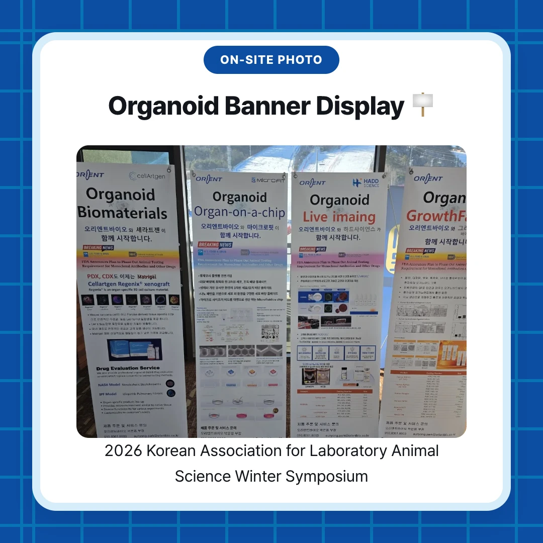 On-site Photo. Organoid Banner Display 🪧. 2026 Korean Association for Laboratory Animal Science Winter Symposium