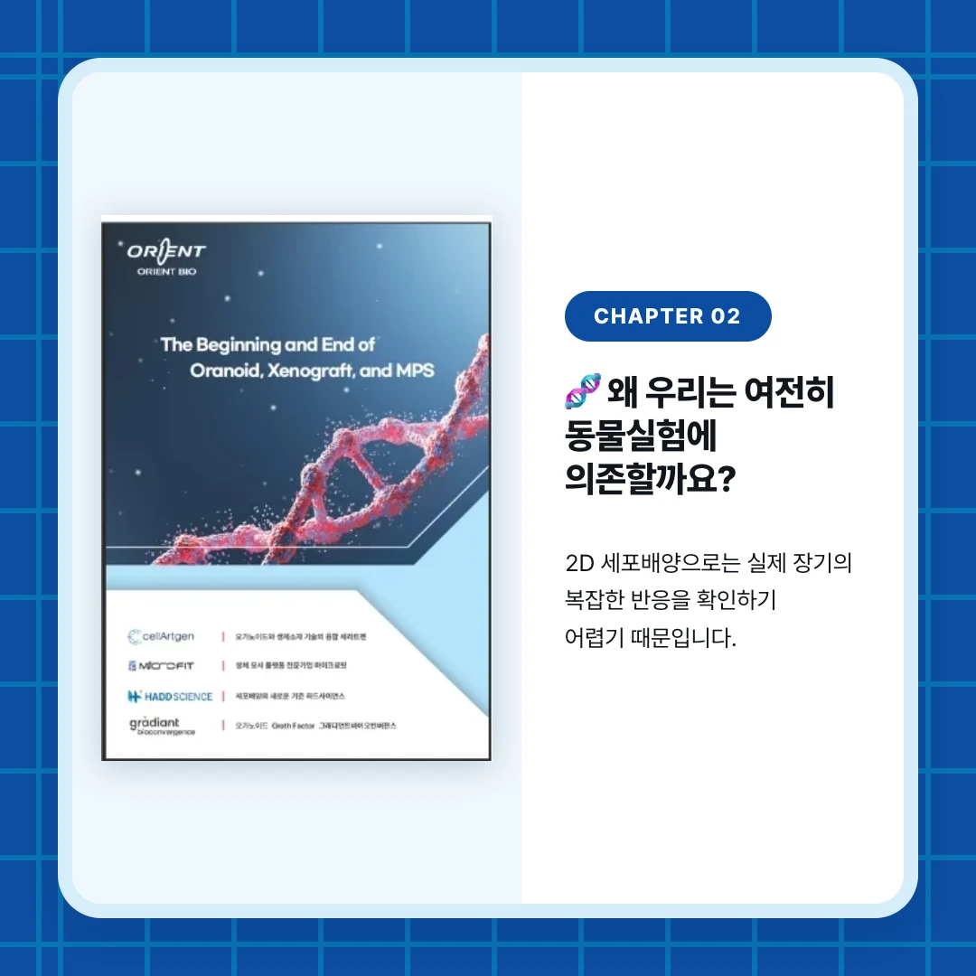 chapter 02. 🧬 왜 우리는 여전히 동물실험에 의존할까요?. 2D 세포배양으로는 실제 장기의 복잡한 반응을 확인하기 어렵기 때문입니다.
