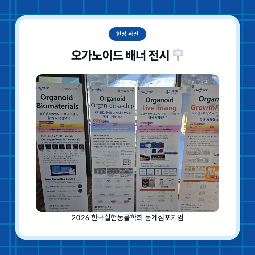 현장 사진. 오가노이드 배너 전시 🪧. 2026 한국실험동물학회 동계심포지엄