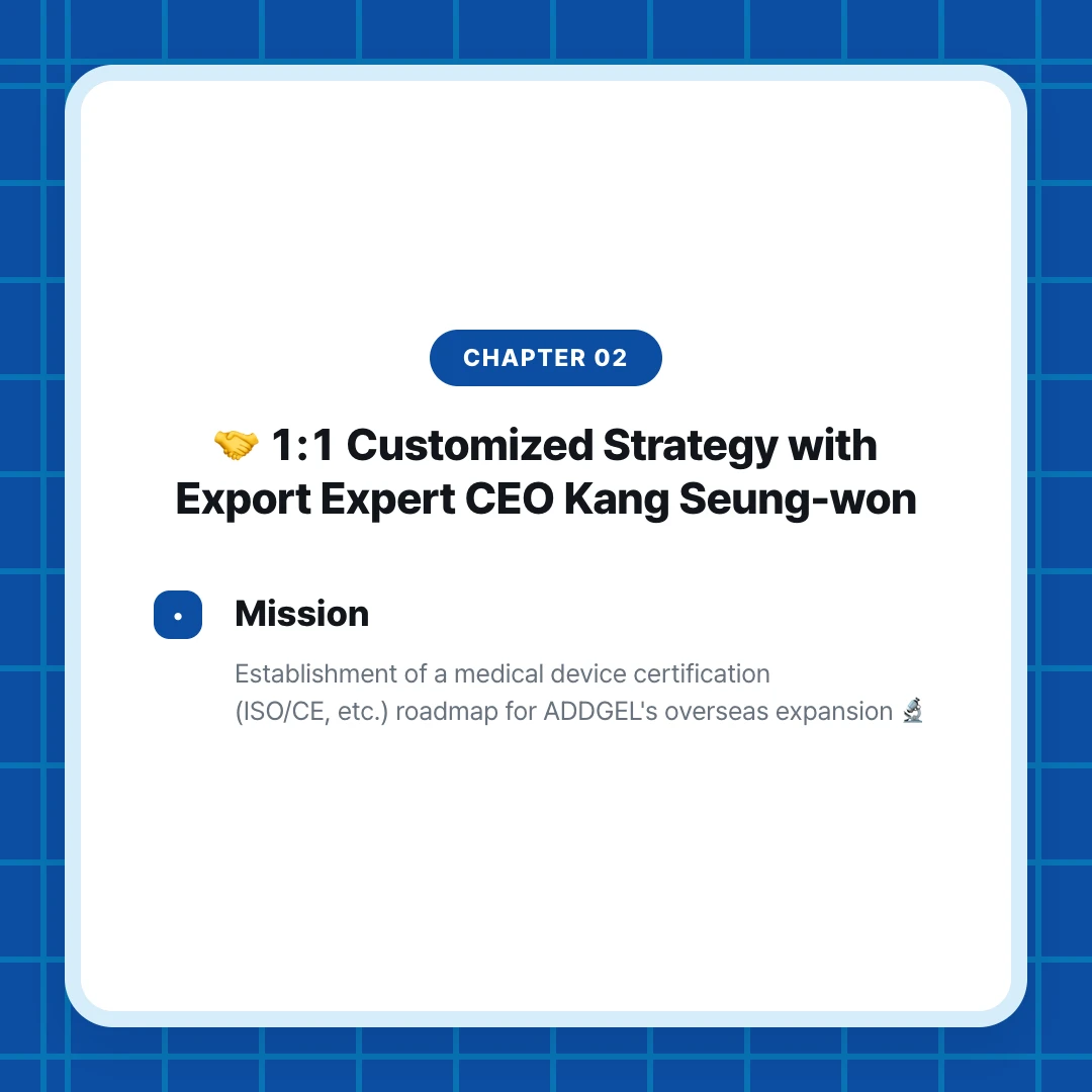 chapter 02. 🤝 1:1 Customized Strategy with Export Expert CEO Kang Seung-won. Mission. Establishment of a medical device certification (ISO/CE, etc.) roadmap for ADDGEL's overseas expansion 🔬