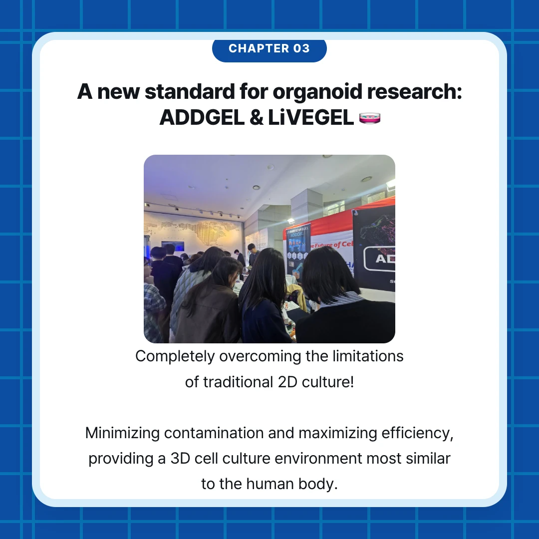 chapter 03. A new standard for organoid research: ADDGEL & LiVEGEL 🧫. Completely overcoming the limitations of traditional 2D culture! Minimizing contamination and maximizing efficiency, providing a 3D cell culture environment most similar to the human body.