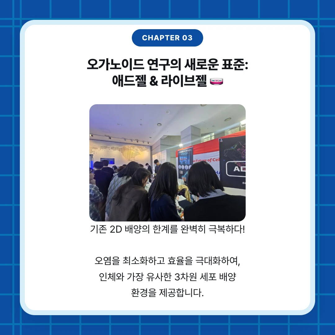 chapter 03. 오가노이드 연구의 새로운 표준: 애드젤 & 라이브젤 🧫. 기존 2D 배양의 한계를 완벽히 극복하다! 오염을 최소화하고 효율을 극대화하여, 인체와 가장 유사한 3차원 세포 배양 환경을 제공합니다.