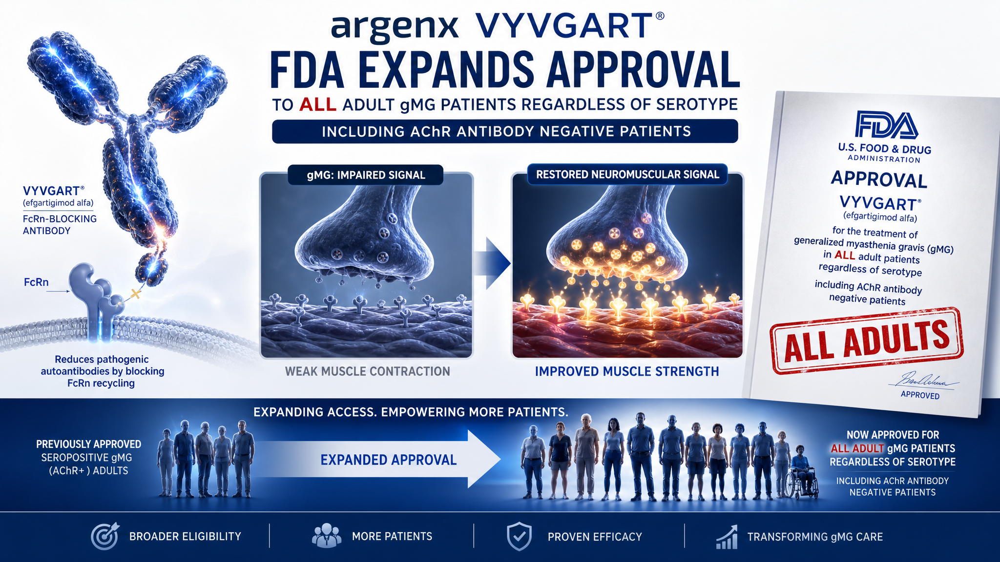 argenx's Vyvgart Expands to Include Antibody-Negative Patients, Reshaping the Autoimmune Market photo 1