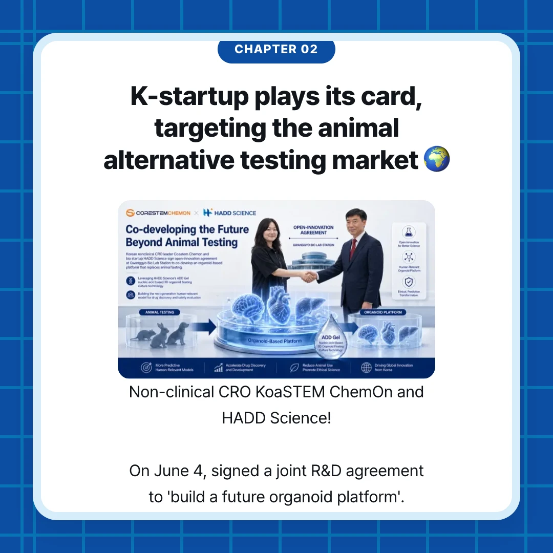 chapter 02. K-startup plays its card, targeting the animal alternative testing market 🌍. Non-clinical CRO KoaSTEM ChemOn and HADD Science! On June 4, signed a joint R&D agreement to 'build a future organoid platform'.