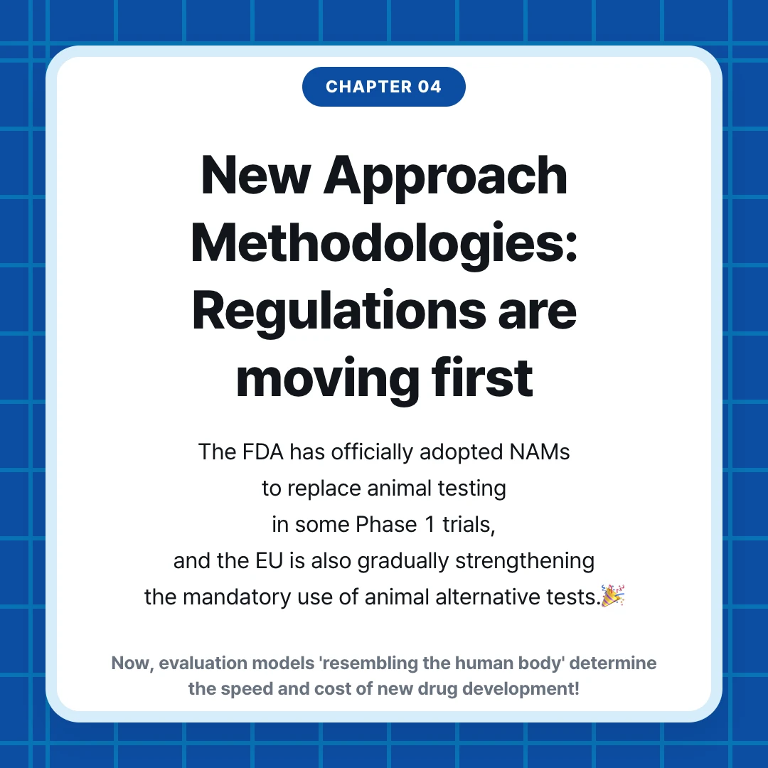 chapter 04. New Approach Methodologies: Regulations are moving first. The FDA has officially adopted NAMs to replace animal testing in some Phase 1 trials, and the EU is also gradually strengthening the mandatory use of animal alternative tests.🎉. Now, evaluation models 'resembling the human body' determine the speed and cost of new drug development!