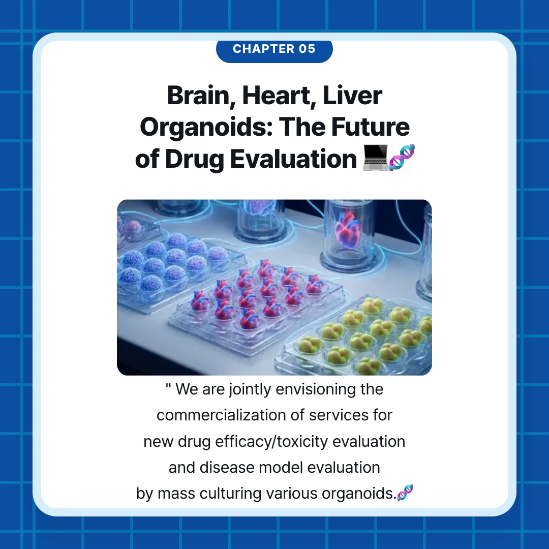chapter 05. Brain, Heart, Liver Organoids: The Future of Drug Evaluation 💻🧬. " We are jointly envisioning the commercialization of services for new drug efficacy/toxicity evaluation and disease model evaluation by mass culturing various organoids.🧬