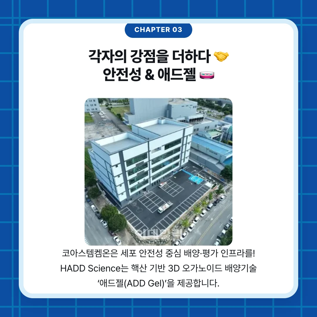chapter 03. 각자의 강점을 더하다 🤝 안전성 & 애드젤 🧫. 코아스템켐온은 세포 안전성 중심 배양·평가 인프라를! HADD Science는 핵산 기반 3D 오가노이드 배양기술 ‘애드젤(ADD Gel)’을 제공합니다.