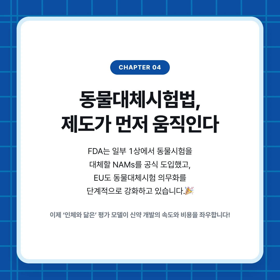 chapter 04. 동물대체시험법, 제도가 먼저 움직인다. FDA는 일부 1상에서 동물시험을 대체할 NAMs를 공식 도입했고, EU도 동물대체시험 의무화를 단계적으로 강화하고 있습니다.🎉. 이제 ‘인체와 닮은’ 평가 모델이 신약 개발의 속도와 비용을 좌우합니다!