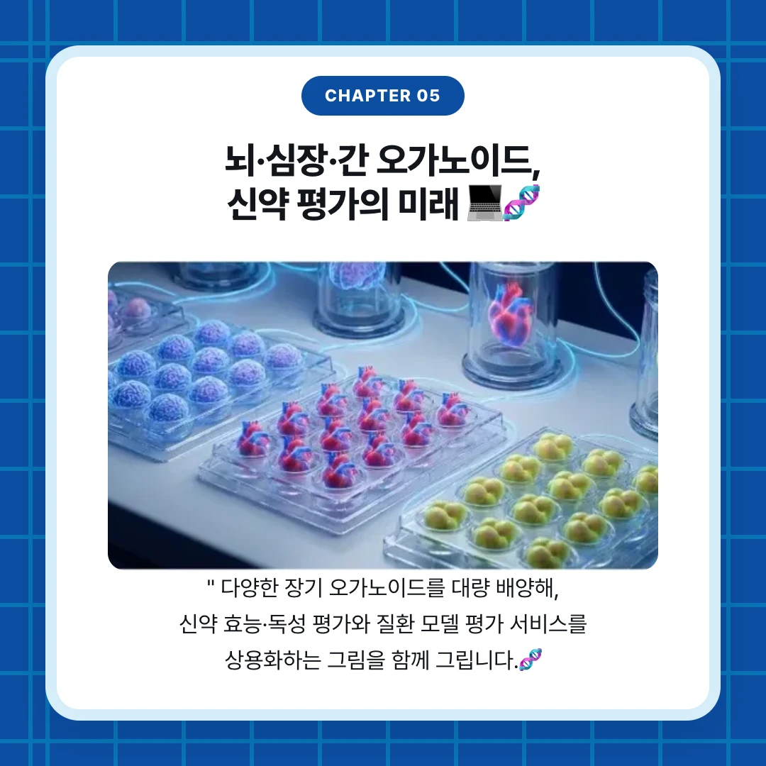chapter 05. 뇌·심장·간 오가노이드, 신약 평가의 미래 💻🧬. " 다양한 장기 오가노이드를 대량 배양해, 신약 효능·독성 평가와 질환 모델 평가 서비스를 상용화하는 그림을 함께 그립니다.🧬