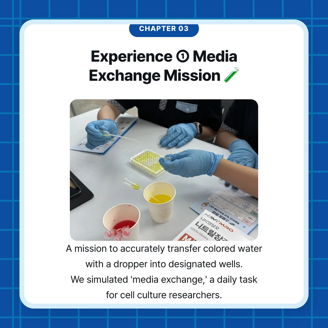 chapter 03. Experience ① Media Exchange Mission 🧪. A mission to accurately transfer colored water with a dropper into designated wells. We simulated 'media exchange,' a daily task for cell culture researchers.