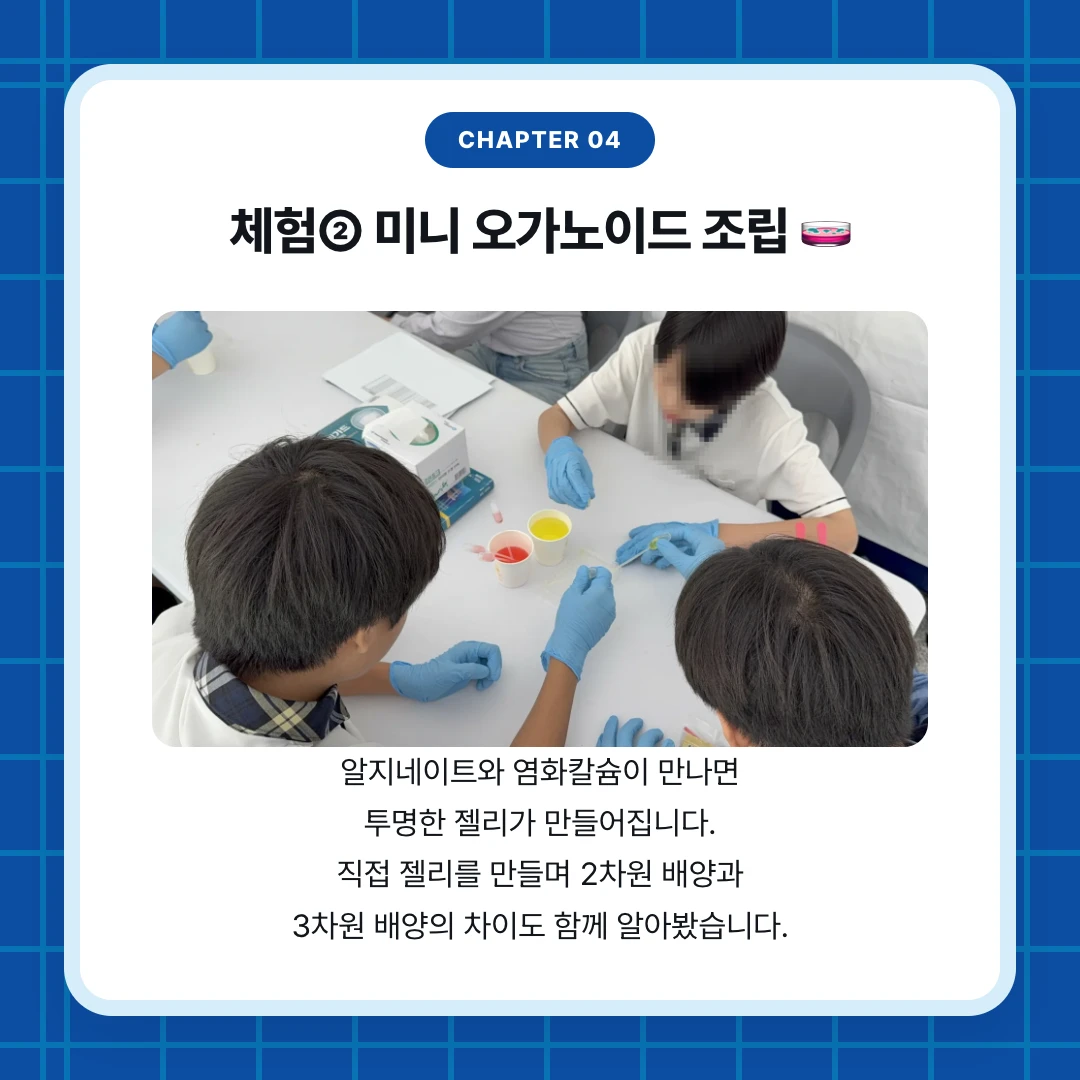 chapter 04. 체험② 미니 오가노이드 조립 🧫. 알지네이트와 염화칼슘이 만나면 투명한 젤리가 만들어집니다. 직접 젤리를 만들며 2차원 배양과 3차원 배양의 차이도 함께 알아봤습니다.