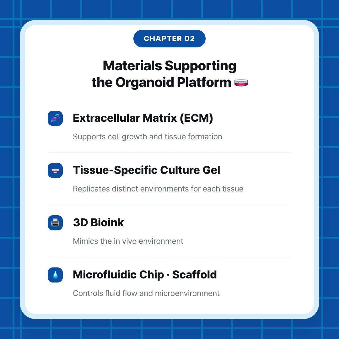 chapter 02. Materials Supporting the Organoid Platform 🧫. Extracellular Matrix (ECM). Supports cell growth and tissue formation. Tissue-Specific Culture Gel. Replicates distinct environments for each tissue. 3D Bioink. Mimics the in vivo environment. Microfluidic Chip · Scaffold. Controls fluid flow and microenvironment