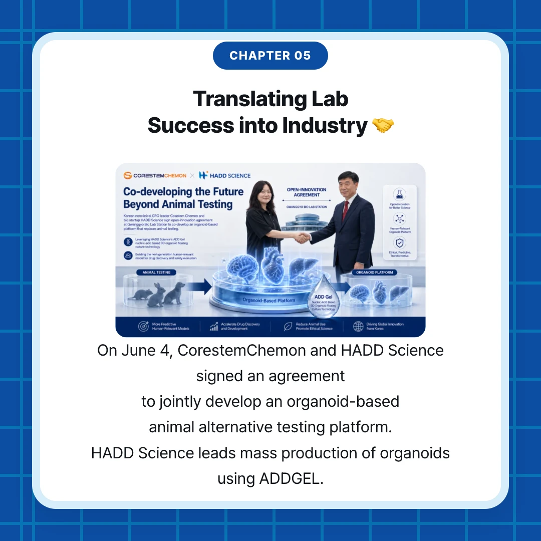 chapter 05. Translating Lab Success into Industry 🤝. On June 4, CorestemChemon and HADD Science signed an agreement to jointly develop an organoid-based animal alternative testing platform. HADD Science leads mass production of organoids using ADDGEL.